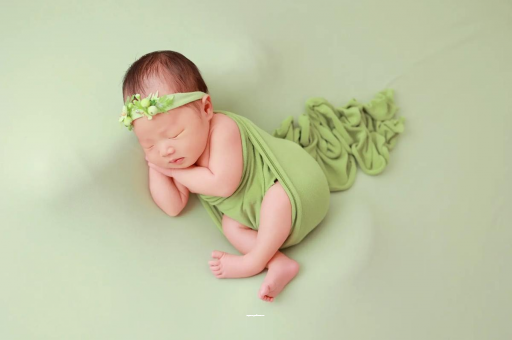 商水孕妇不能接触的花 商水孕妇不能接触的花